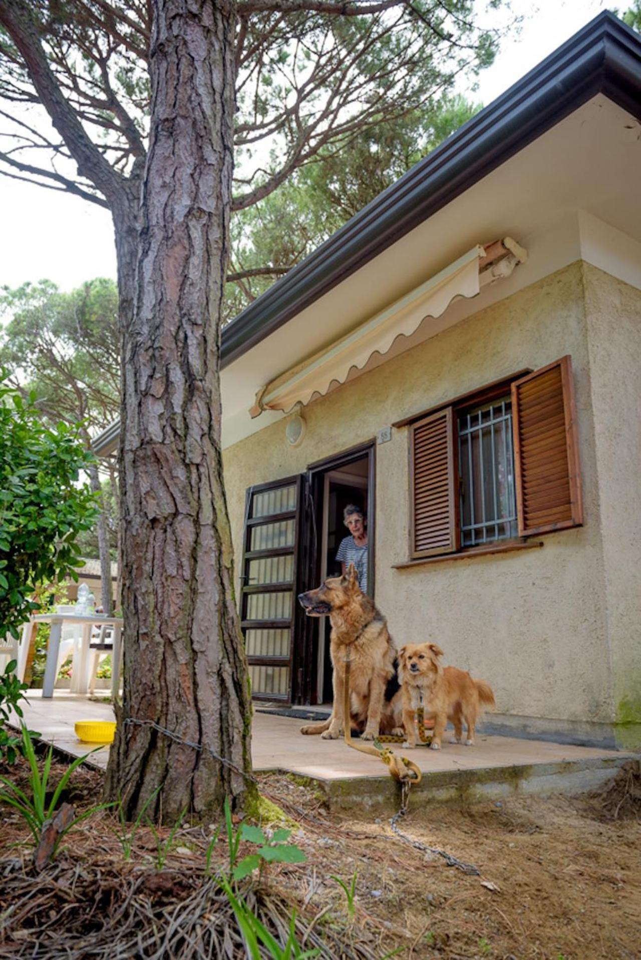 Arco Bungalow Eraclea Mare Extérieur photo